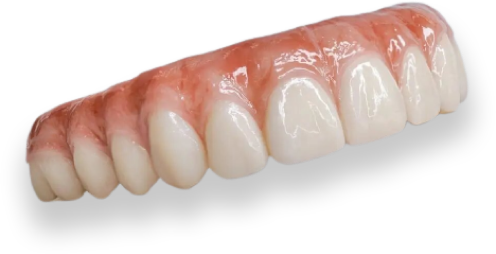 Teeth Image